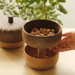 nachhaltige geschenke