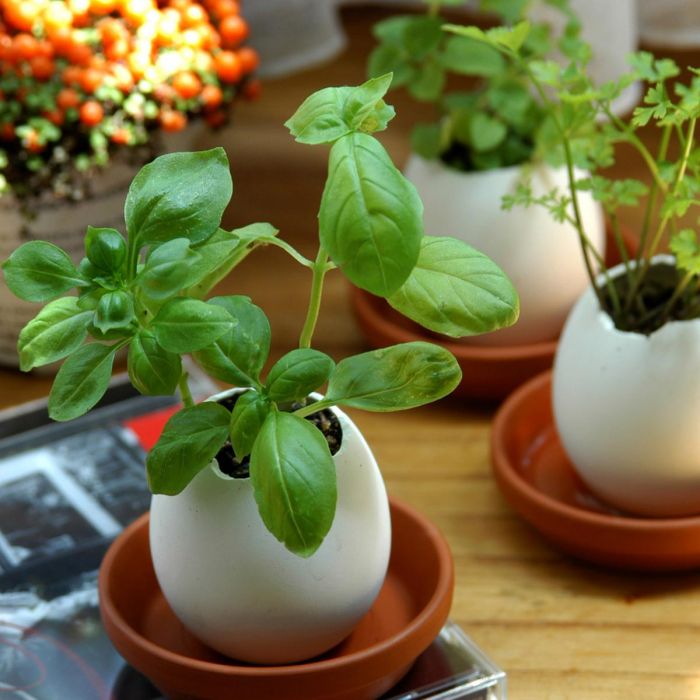 ostern geschenke