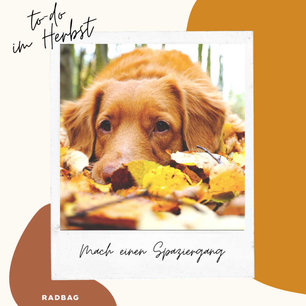to do liste herbst