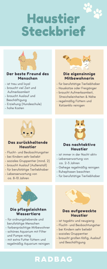 Welches Haustier passt zu mir?