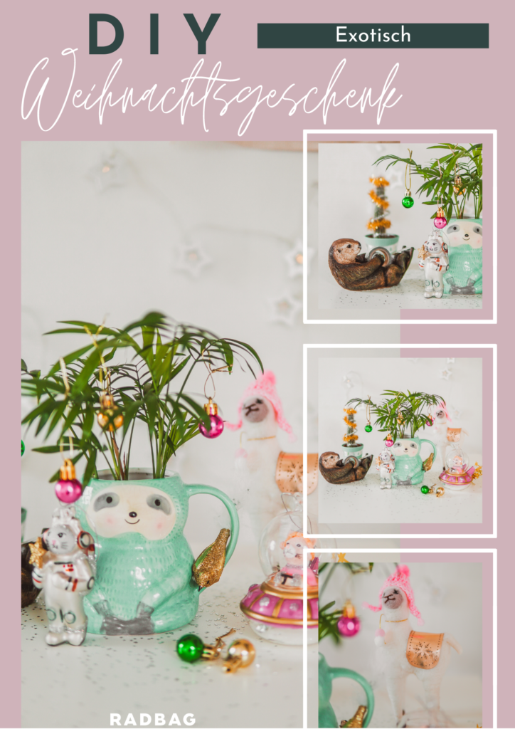 DIY Weihnachtsgeschenke