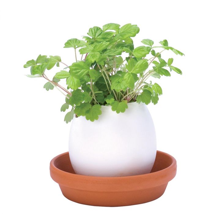 ostergeschenke