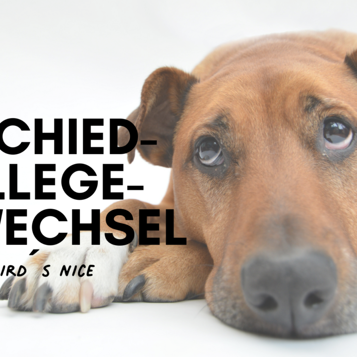 20 Lustige WhatsApp Sprüche das coolste Status Update ever radbag