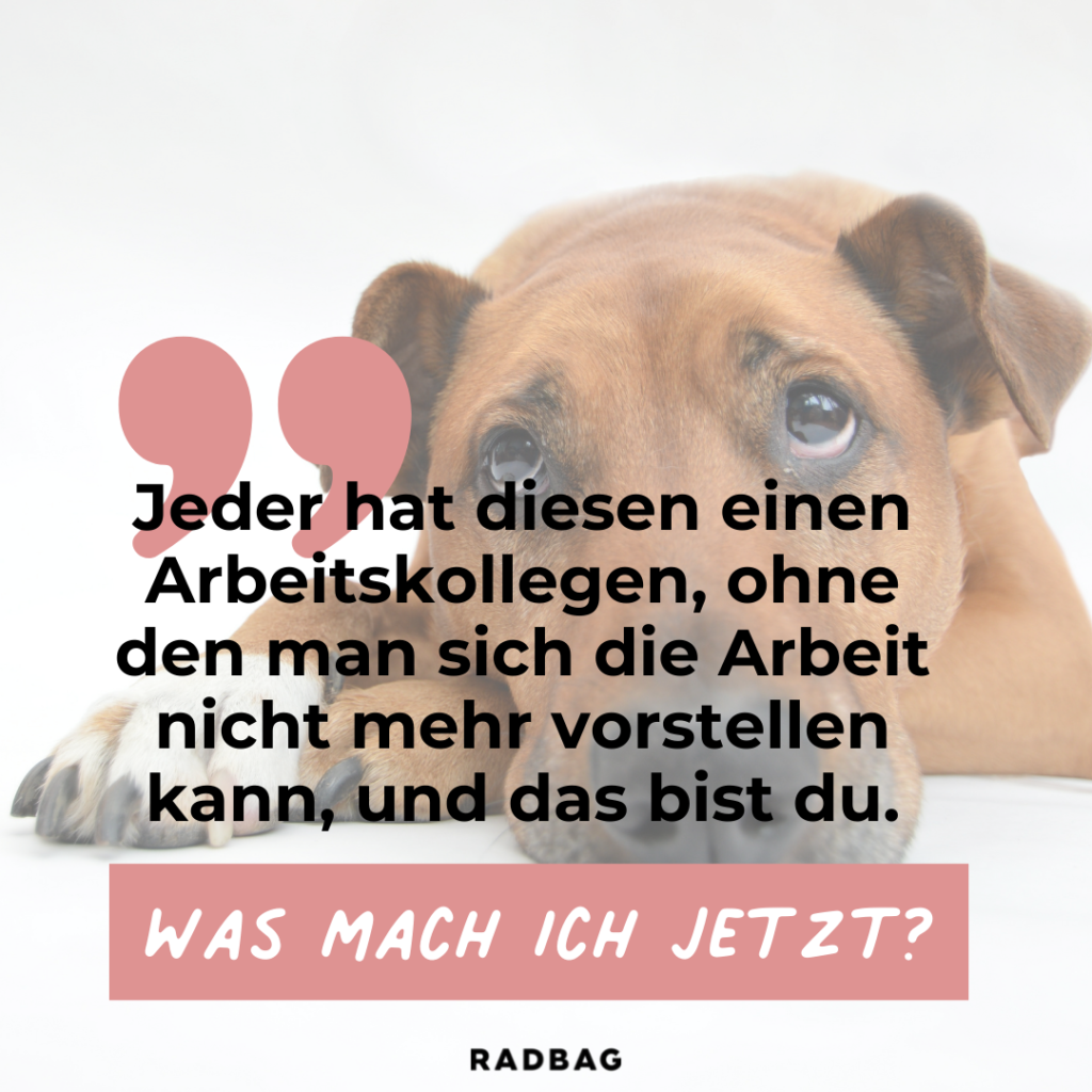 abschied kollege jobwechsel spruch abschied kollege danke (6)