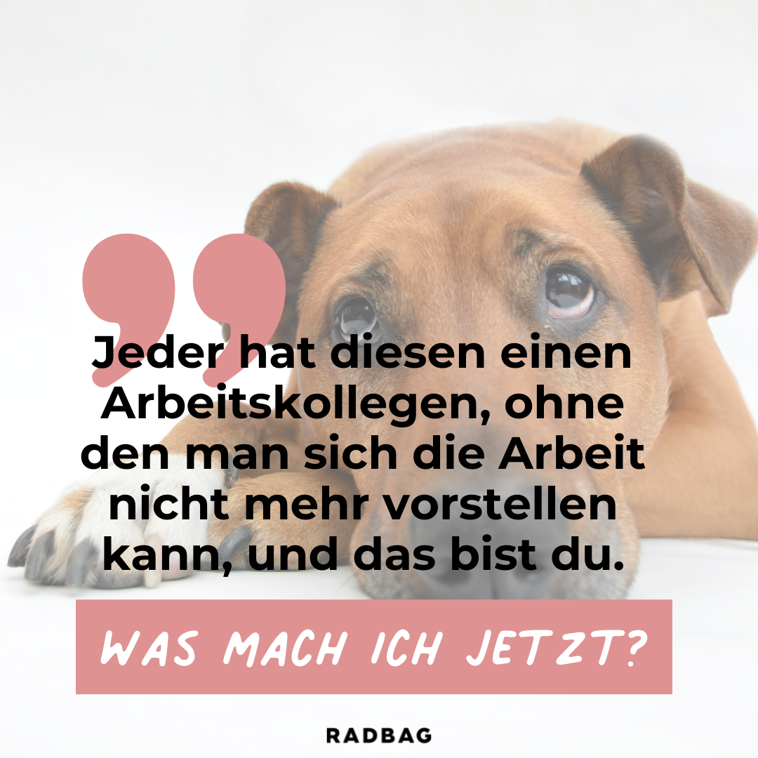 Abschied Kollege Die 9 besten Sprüche & Geschenke zum Jobwechsel