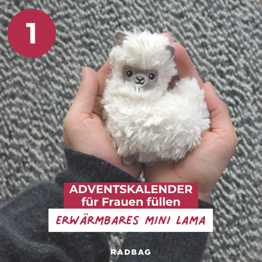 adventskalender frauen füllen (1)