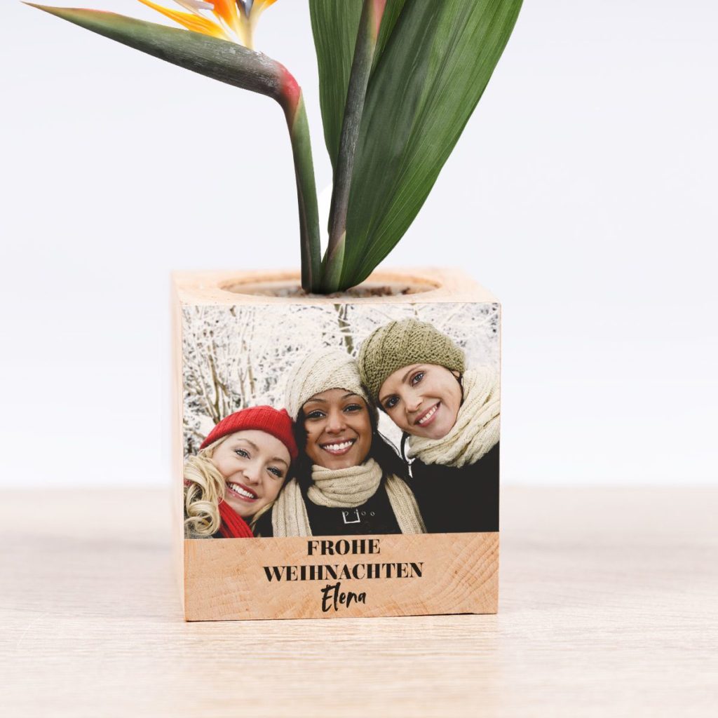 kleine weihnachtsgeschenke ecocube