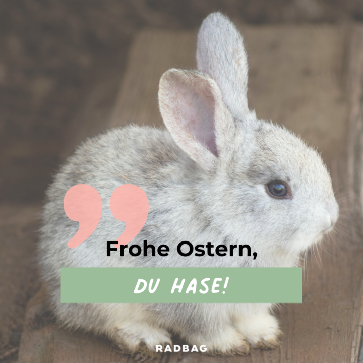 9 lustige Ostersprüche: da lacht selbst der Osterhase!