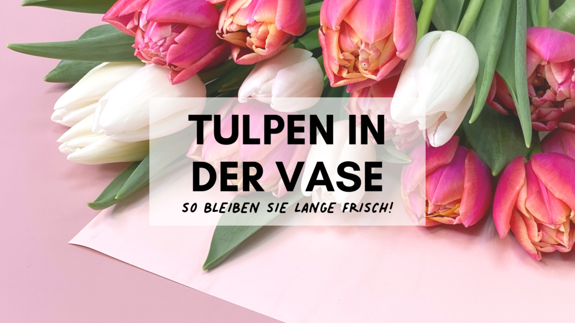 tulpen in der vase tulpen pflege
