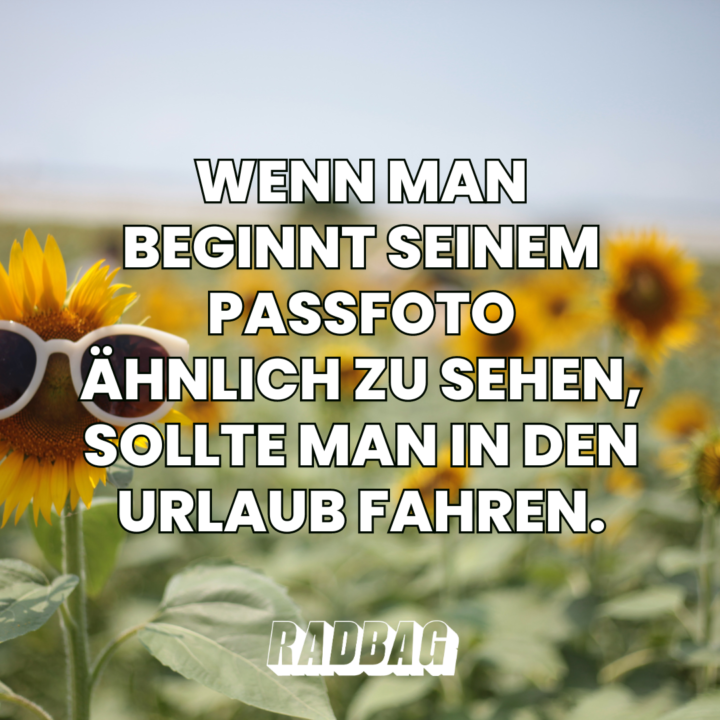 10 lustige Sommer Sprüche kurz und humorvoll jetzt entdecken!
