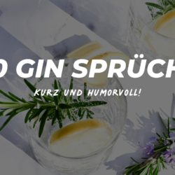 gin sprüche