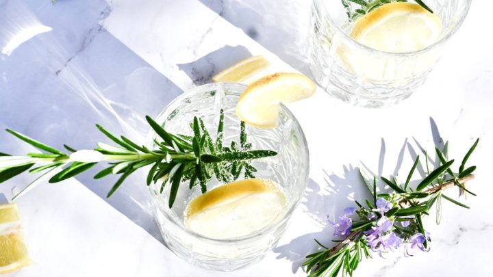 gin sprüche