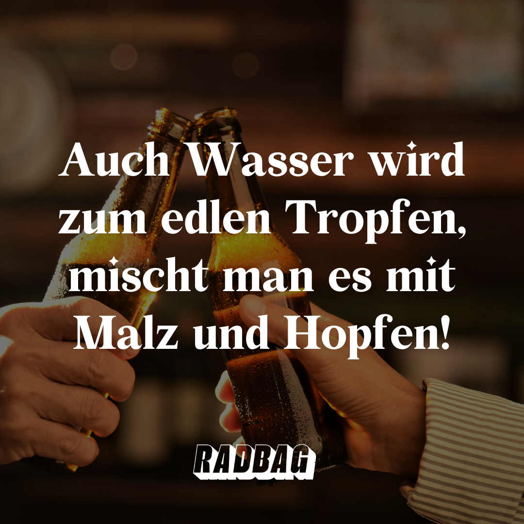 10 lustige Bier Sprüche für jeden Anlass kurz und humorvoll!