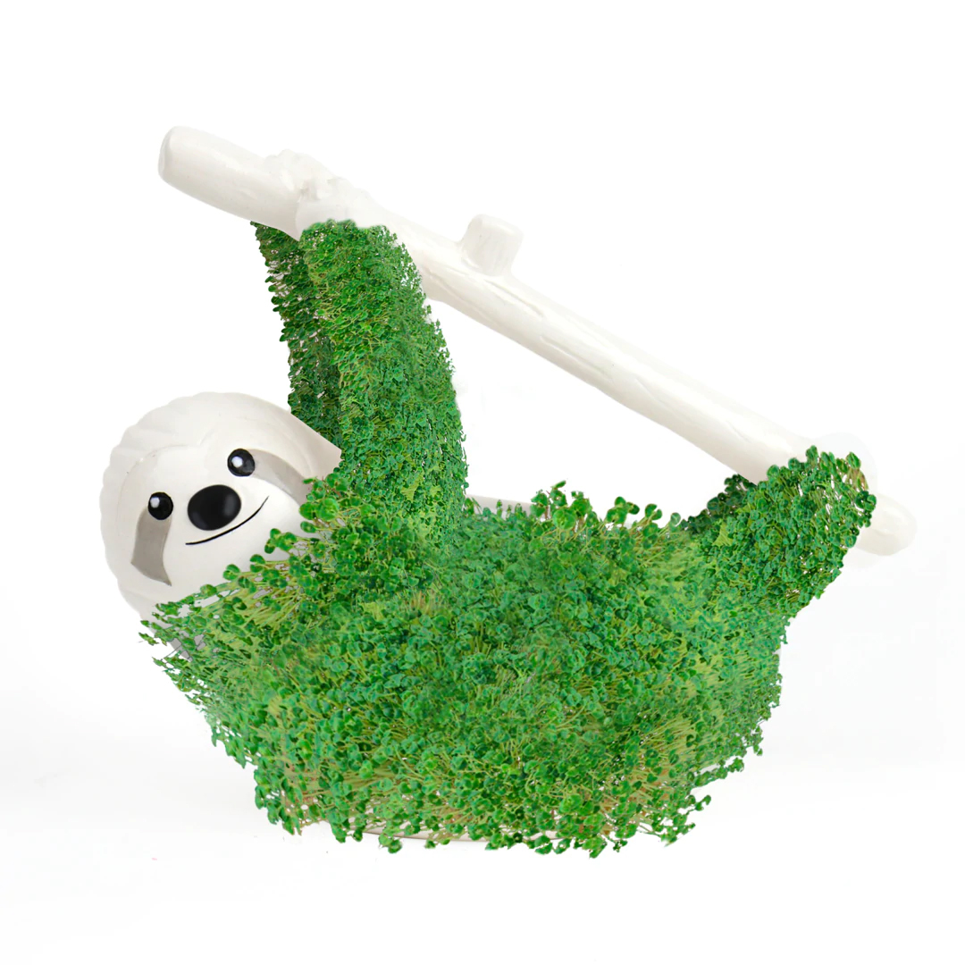 Chia Faultier