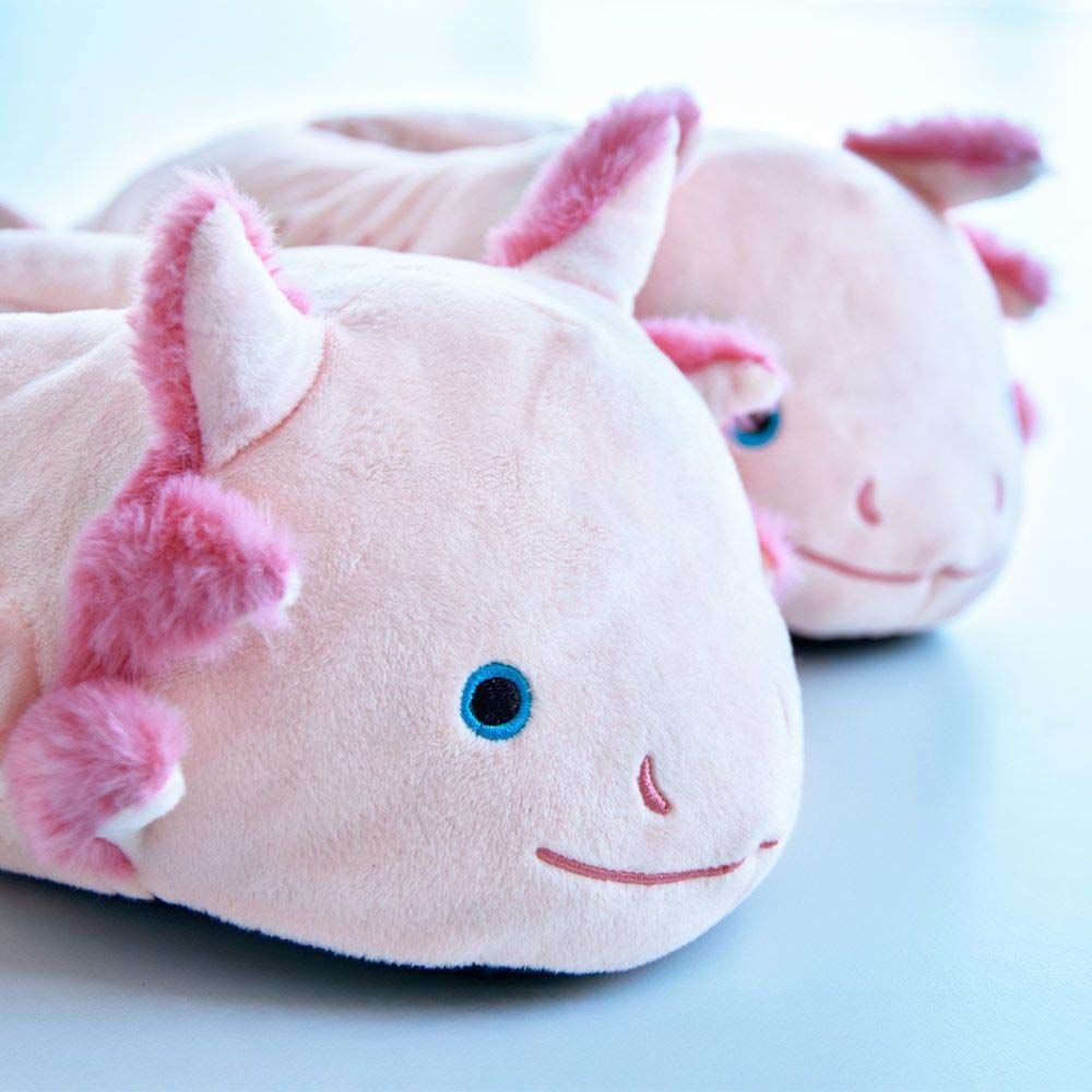 Axolotl Hausschuhe