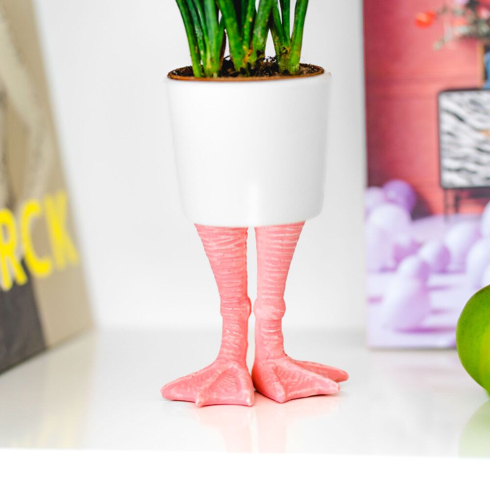 Witziger Blumentopf auf Flamingo-Füßen