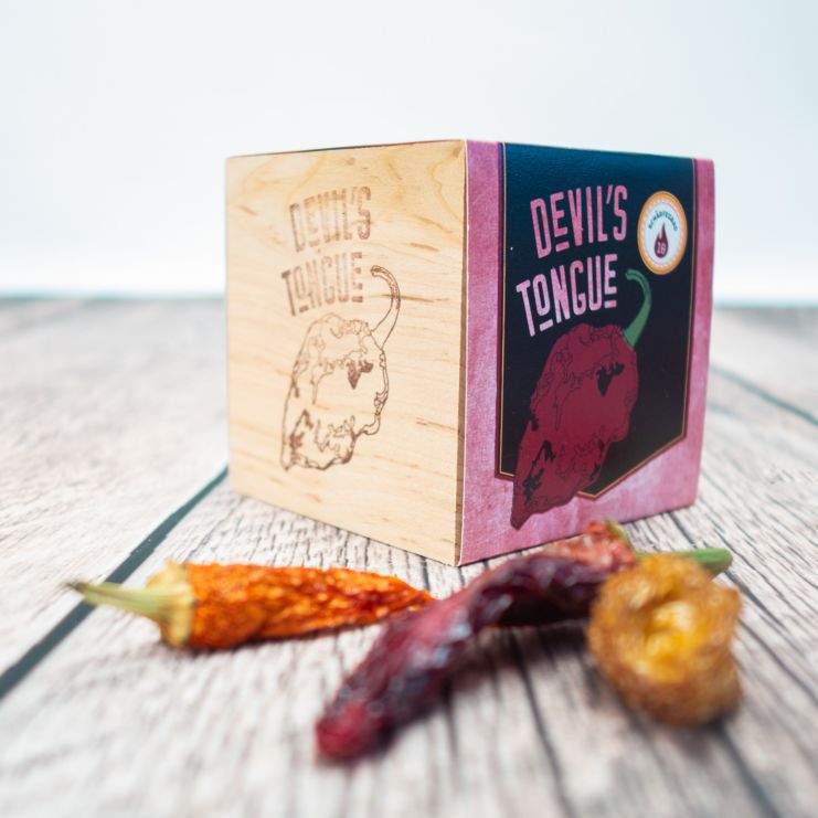 ecocube - Chili im Holzwürfel - Devil's Tongue (Chocolate)