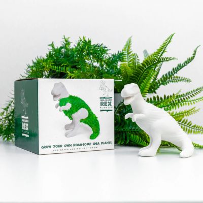 Chia Saurus Chia Saurus