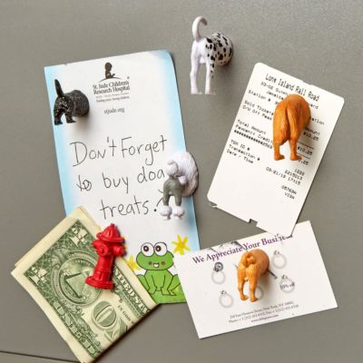 Hunde-Hintern Kühlschrankmagnete 6er-Set