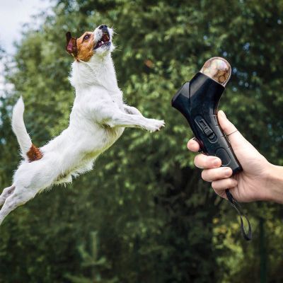 Rangliste der besten Geschenkideen gadget