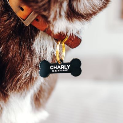 Personalisierbare Hundemarke Knochen