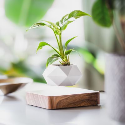 Schwebender Design Blumentopf Schwebender Design Blumentopf