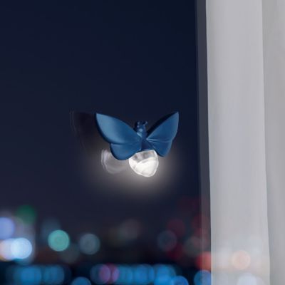 Leuchtkäfer am Fenster Leuchtkäfer am Fenster