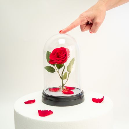 Die Schöne und das Biest: Verzauberte Rosen Leuchte