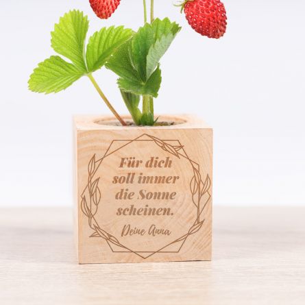 Ecocubes im Holzwürfel mit Gravur