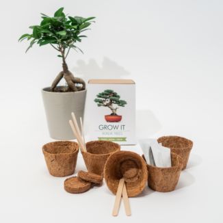 Grow It Bonsai-Bäume