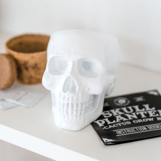 Totenkopf Pflanzset