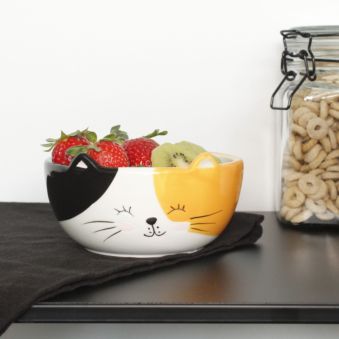 Tazón de muesli de gato
