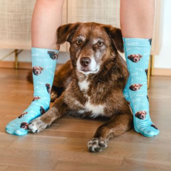Personalised Pet Socks