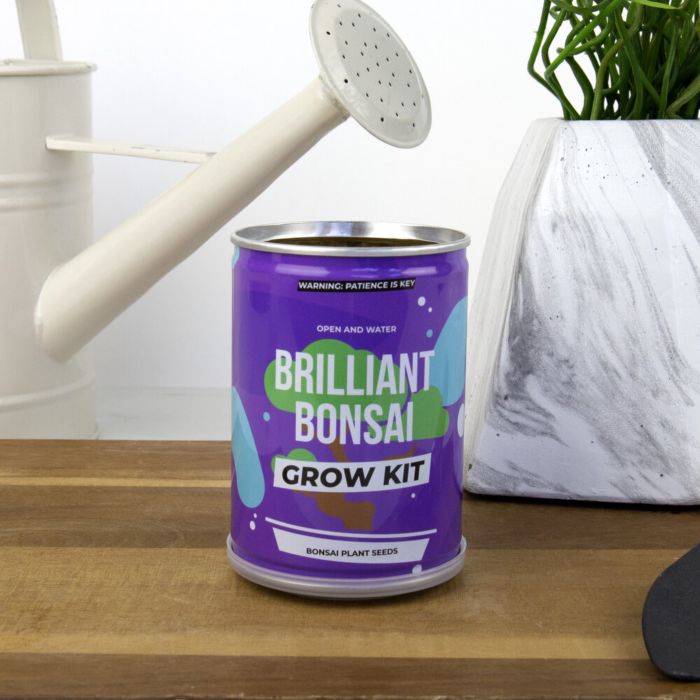 Bonsai aus der Dose main product photo