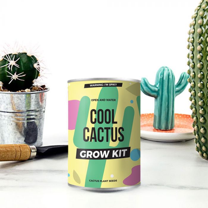 Kaktus aus der Dose main product photo