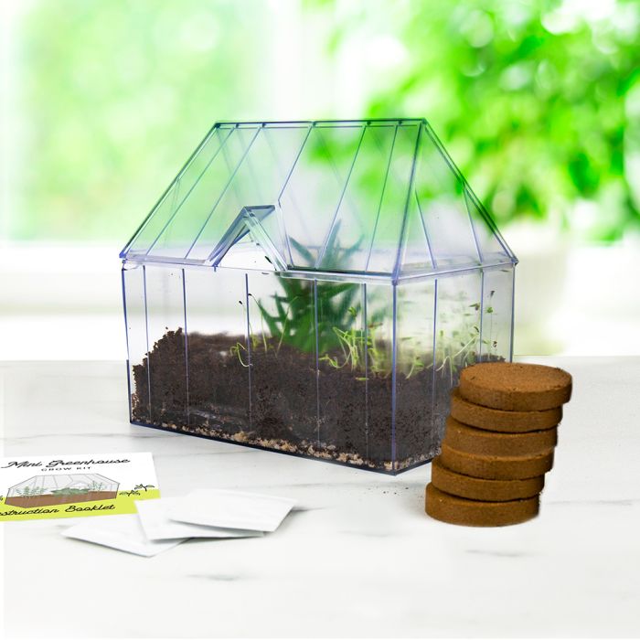 Mini-Gewächshaus mit Pflanzset main product photo
