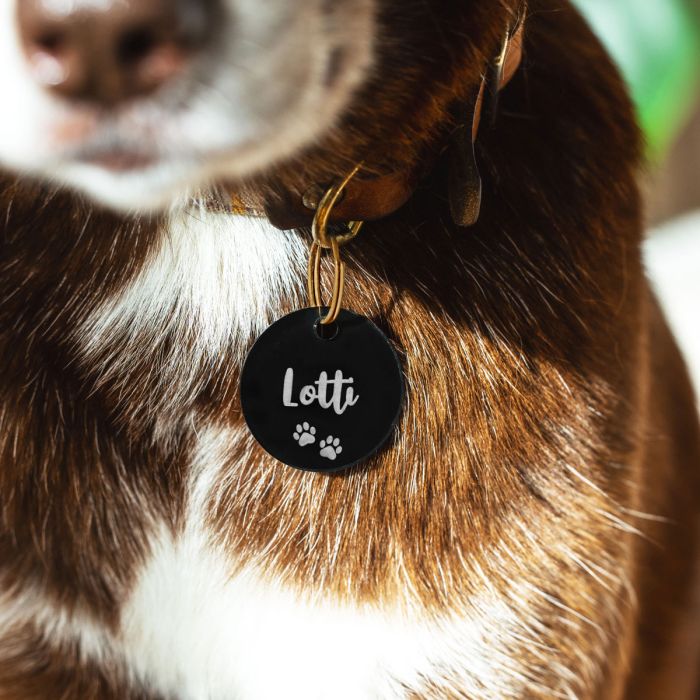 Personalisierbare Hundemarke mit Name main product photo