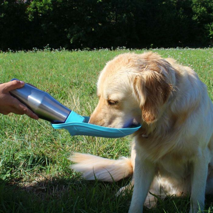 Haustier Wasserflasche