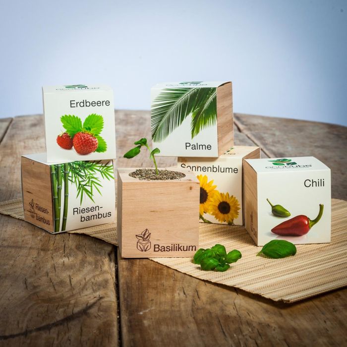 Kleine Geschenke ecocube Pflanzen im Holzwürfel