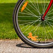 Fahrrad-Kätzchen Kordula