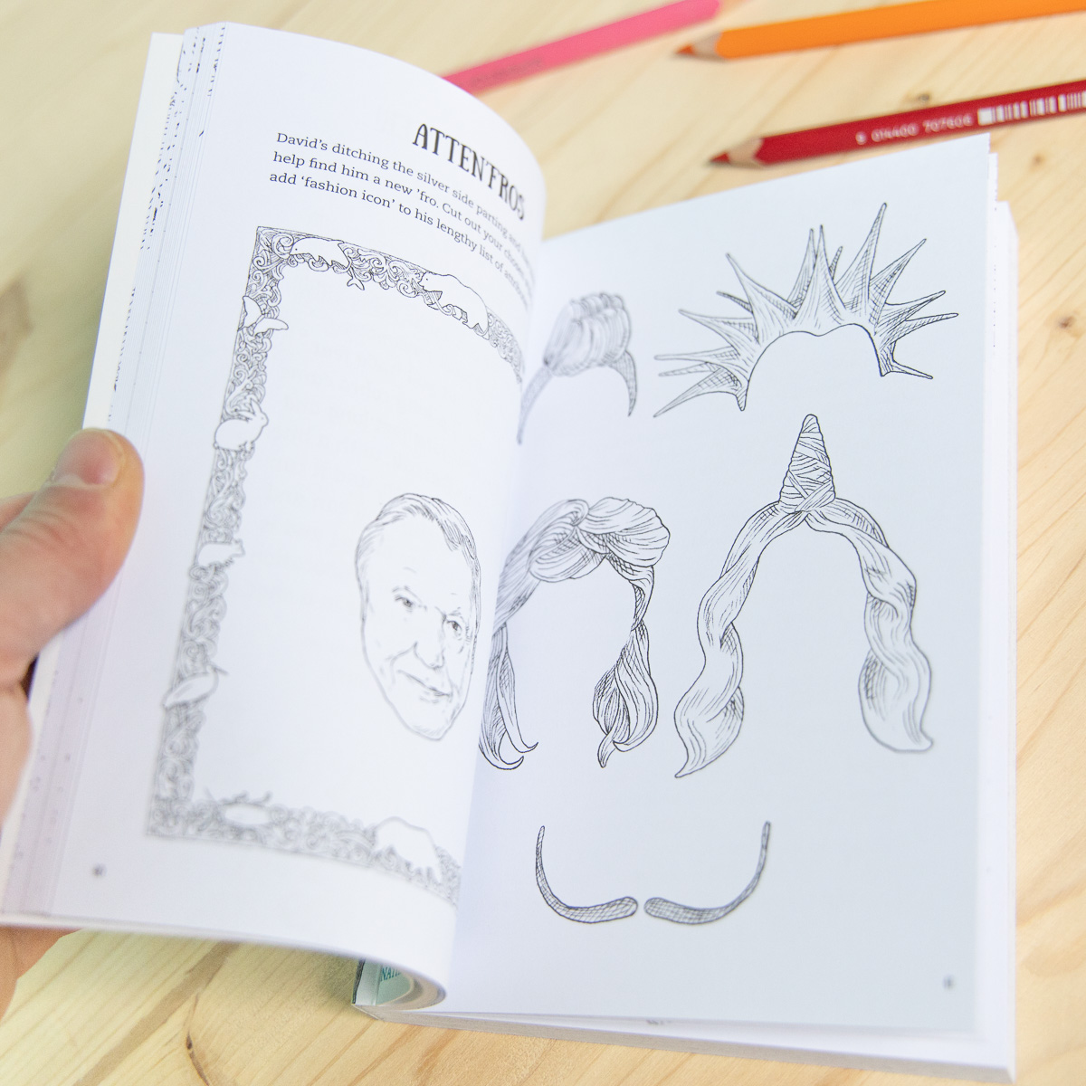 David Attenborough Activity Book