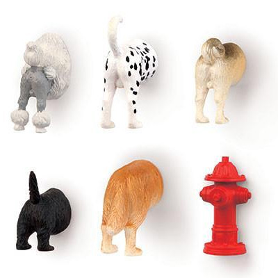 Hunde-Hintern Kühlschrankmagnete 6er-Set