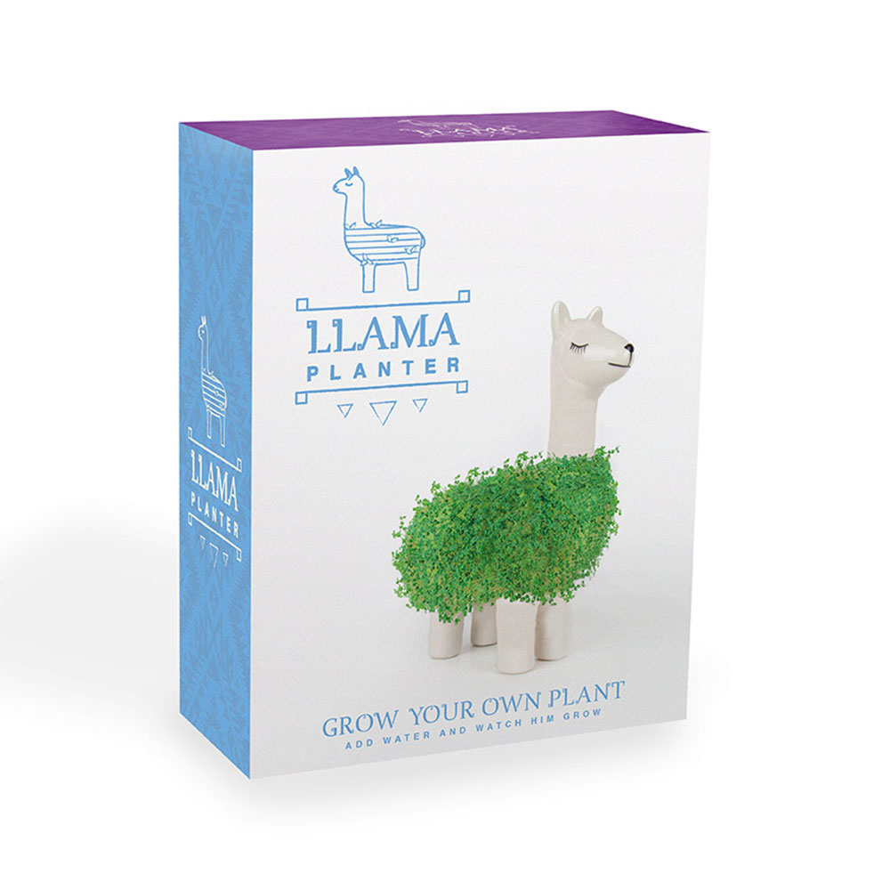Das grüne Lama
