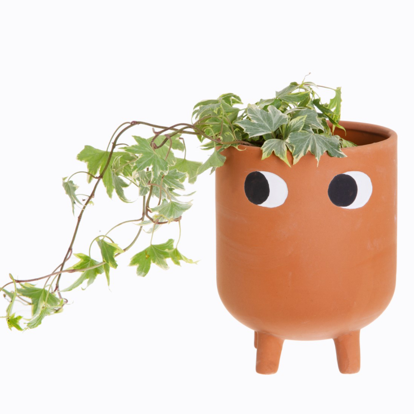 Leggy Terracotta Blumentopf