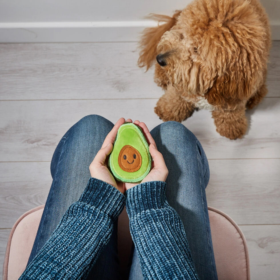 Avocado Mini Handwärmer