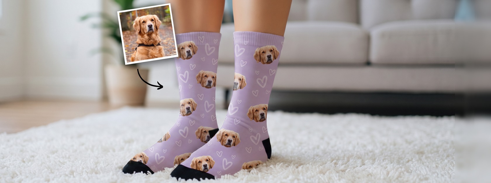 banner slide