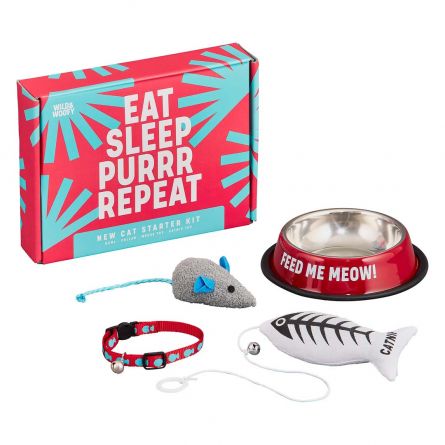 Set für Katzen-Anfänger