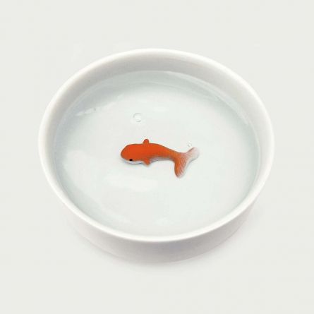 Katzen-Trinkschale mit Goldfisch