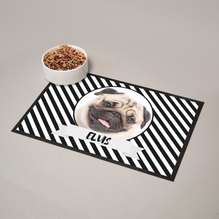 Les animaux que les humains