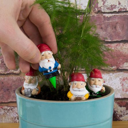 Mini-Gartenzwerge im 4er-Set